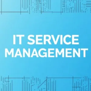 Reliable it service management for your business needs
