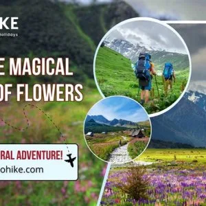 Explore the valley of flowers trek with indohike