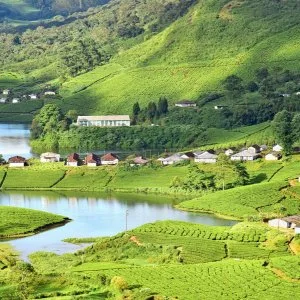 South india travel packages: a journey through culture and beaut