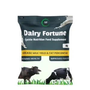 Best supplements for dairy cows in india