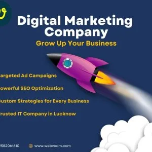 Webvoom - best digital marketing company in india