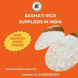Basmati rice suppliers in india