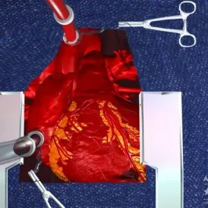 Bring your medical concepts to life with austin visuals