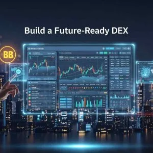 Power your crypto vision with a custom dex