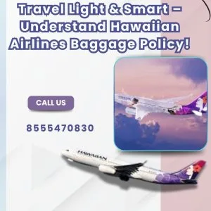 Hawaiian airlines baggage policy