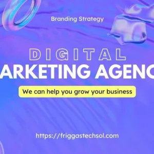 Best digital marketing & web development companies in noida – fr