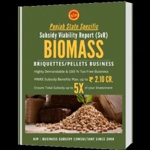 Buy biomass subsidy viability report punjab online