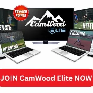 Camwoodbatscom free shipping with code gb20 for 20% game bats