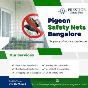 Professional pigeon safety nets installation in bangalore – call