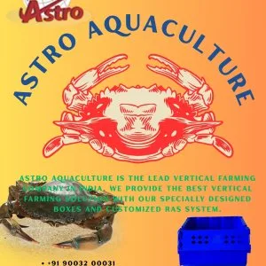 Mud crab exporters in chennai