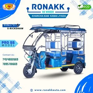 E rickshaw business