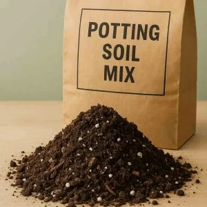 Best potting mix for plants