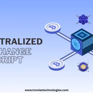 Custom decentralized exchange script for business owners