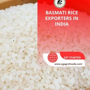 Basmati rice exporters in india