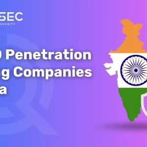 Top 10 penetration testing companies in india