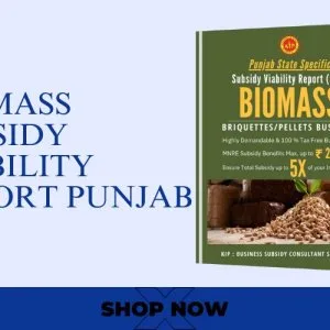 Viability of biomass briquettes & subsidy support in punjab