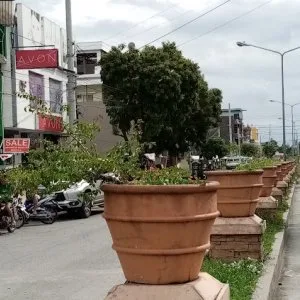 Lot for sale in rosario, cavite