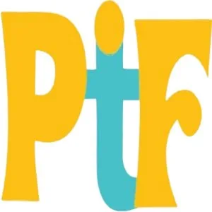 Web design services india | punjab tech foundation