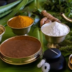 The neeraj ganga rajmahal wellness dream – recognized as the bes