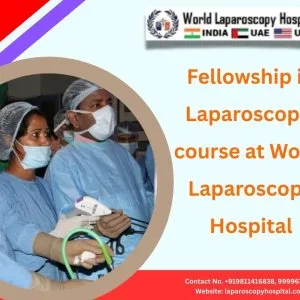 Fellowship in laparoscopic course