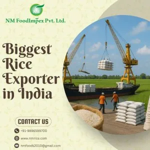 Biggest rice exporter in india