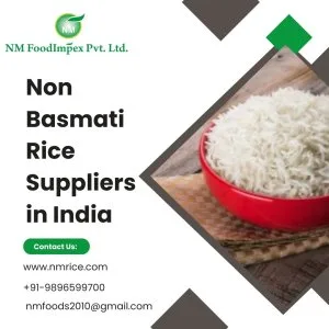 Non basmati rice suppliers in india