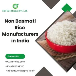 Non basmati rice manufacturers in india