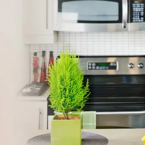Best house keeping agency in bangalore
