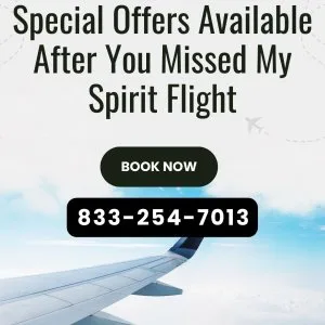 Special offers available after you missed my spirit flight