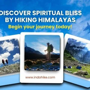 Hike himalayas with indohike: trekking made easy