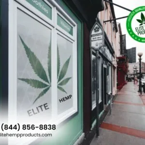 Wellness at your fingertips – buy cbd online