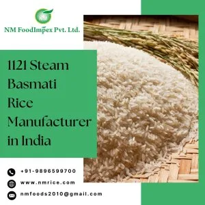 1121 steam basmati rice manufacturer in india