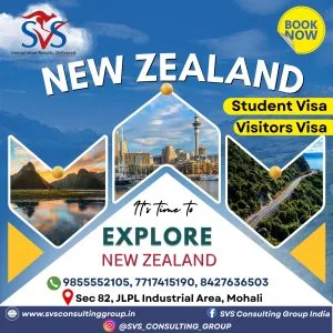 Best visa consultant in mohali | svs consulting group