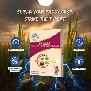 Top insecticide company for effective pest control solutions