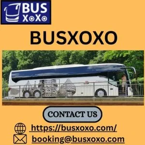 Busxoxo