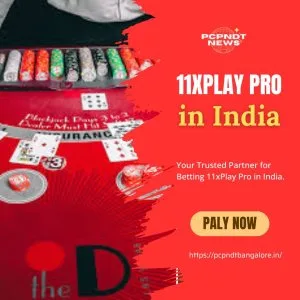11xplay pro in india