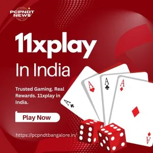 11xplay in india