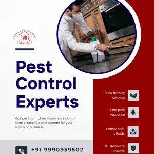 Best pest control service