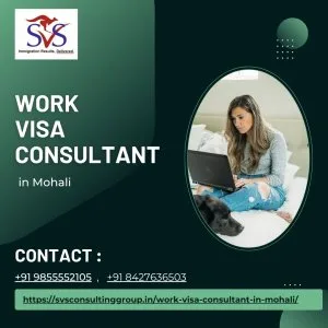 Best work visa consultant in mohali - svs consulting group