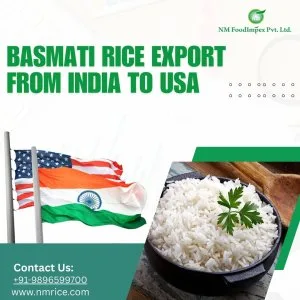 Basmati rice export from india to usa