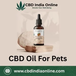 How cbd oil for pets can help with anxiety