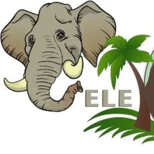 Elejungle elephant ride & activities in amer jaipur