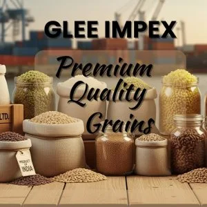 Glee impex pvt ltd – premium grains & agro products