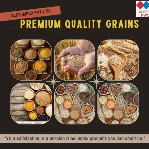 Best grains & spices exporter in india