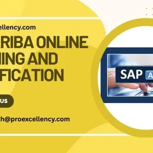 Best sap ariba online training and certification