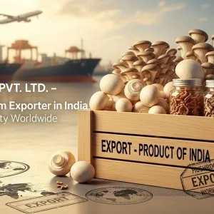 Mushroom export made easy with glee impex