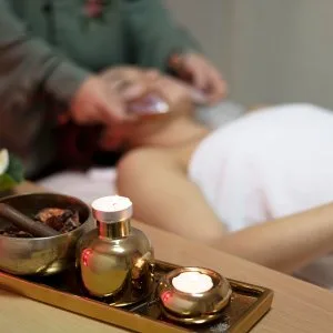 Best ayurveda center in india: nimba wellness retreat