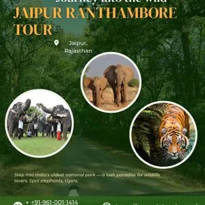 Elephant sanctuary jaipur a popular attraction for wildlife love