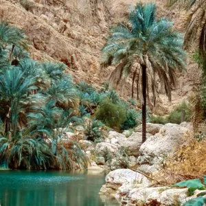 Travel company in jabreen castle