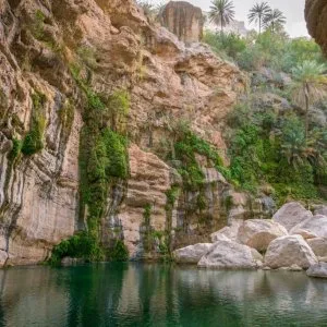 Travel company in muscat
